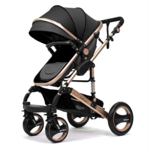 Belecoo 2 in 1 Stroller
